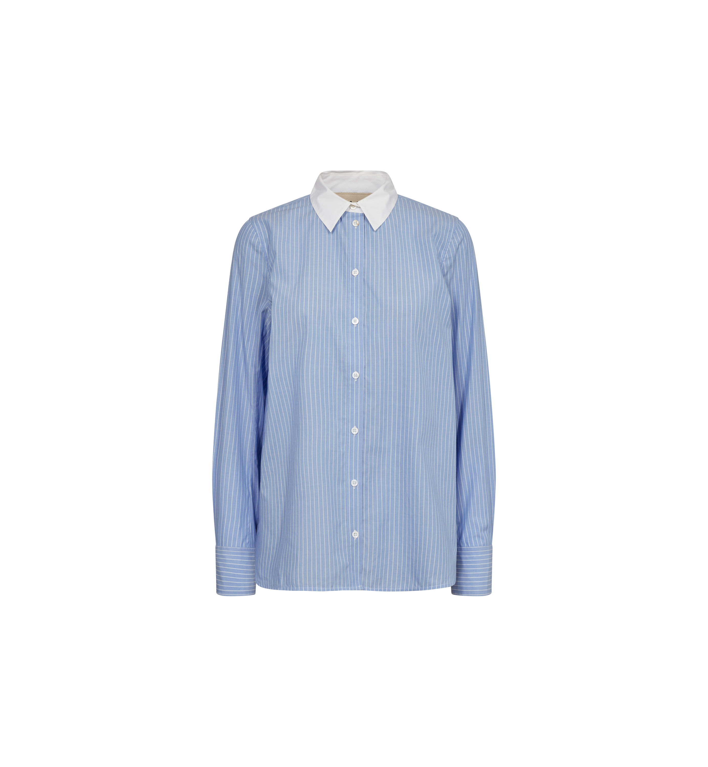 Packshot / Hydrangea / Front